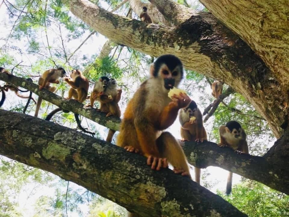 La Purruja Lodge ゴルフィト エクステリア 写真