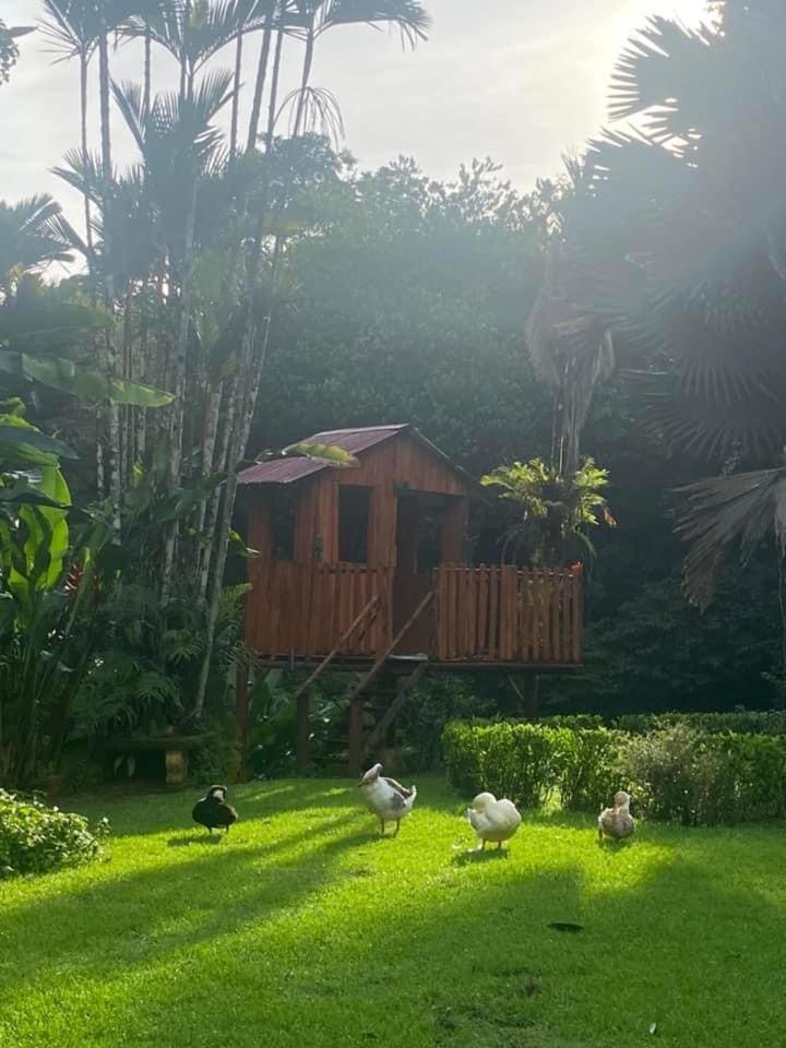 La Purruja Lodge ゴルフィト エクステリア 写真